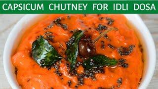 Capsicum Chutney Recipe in English  Red Bell Pepper Chutney  Side dish for Idli  Chutney Recipes