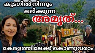 കുടകിൽ നിന്നു ഈ സ്പെഷ്യൽ അമൃത് കേരളത്തിലേക്ക് കൊണ്ടുവരാം കുടഗ്  COORG TRIPMALAYALAM TRAVEL VLOG