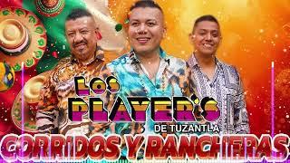 Los Player De Tuzantla Exitos  Los Player De Tuzantla Mix Vietjitas