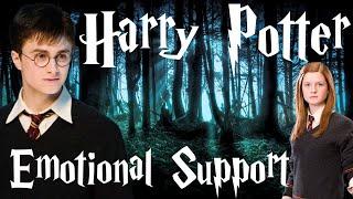 Harry Potter - Emotional Support Birthday special