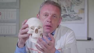 Профессор Дмитрий Мохов  Что такое остеопатия и как она работает