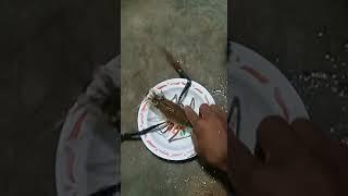 mancing udang galah#udang#fyp