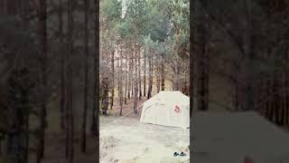 Полное видео по ссылке в описании #rave #отдых #wildlife #forestguy #camping