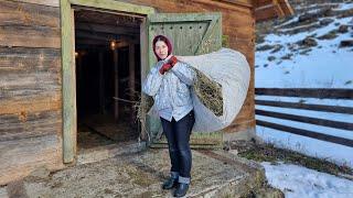 A woman alone maintains a household in the mountains Making cheese