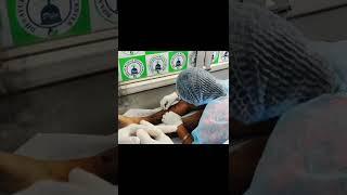 hands on training of Hijama and Leech therapy at Difa Ayurveda and Hijama Center Agra