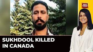 Gangster Sukhdool Was Killed In Canada  Gangster Goldy Brar Talks Exclusively With India Today