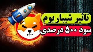 انفجار قطعی ارز شیبا اینو  شیباریوم میتونه سود 500 درصدی بده؟