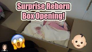 SURPRISE Reborn Baby Box Opening  Kelli Maple