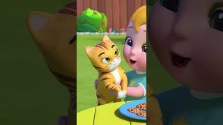 C For Cookie  C For Cat  ABC For Kids Songs  Kids Songs  Baby Zo Zo Nursery Rhymes #shorts