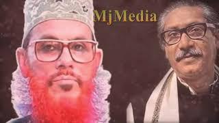 Allama Delwar Hossain Saidi  বঙ্গবন্ধুকে নিয়ে চরম হাসির ওয়াজ  আল্লামা সাঈদী 