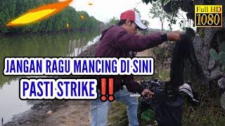 COBAIN MANCING DI SPOT INI PASTI STRIKE‼️ HD 1080 FISHING VIDEO QUALITY