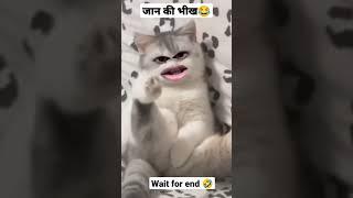 जान की भीखBagad BillaBagad Billa ka Insta viral funny video#shorts #funny #bagadbilla #comedy #yt