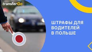 Штрафы для водителей в Польше