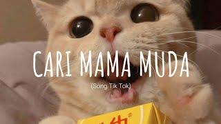 Cari Mama Muda - DJ VIRAL TERBARU remix  Vietsub + Lyric Song Tik Tok