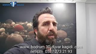 3D Duvar kağıdı  imalat ve montajı ve önemli detaylar