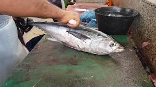 Yellowfin Tuna Cutting by a Minute। Fast and Skilled Tuna Fish Fillet & Cutting Skills