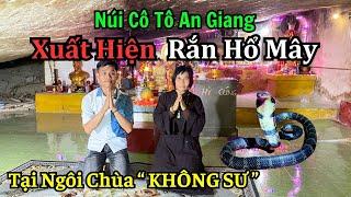 Ngôi Chùa Không Sư Trong Hang Núi Cô Tô Tri Tôn An Giang Xuất Hiện Rắn Hổ Mây  SaLa TV