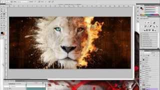 Lion Speed Art