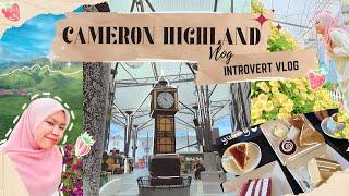 VLOG Cameron Highland  Cameron Centrum + Steamboat + Agro Market  Malaysia aesthetic vlog