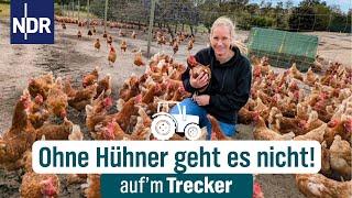 Mulchen für die Hühner Vanessa ist die Neue in der Serie  Aufm Trecker Folge 38  NDR