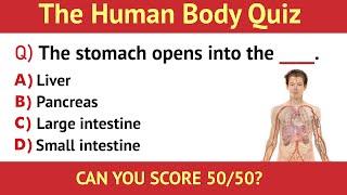 The Human Body Quiz  50 Questions  Zoology  Human Body Systems Parts & Organs  Science Quiz