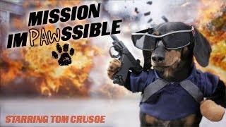 MISSION IMPAWSSIBLE - Funny Wiener Dog Action Movie