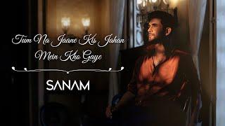 Tum Na Jaane Kis Jahan Mein Kho Gaye  Sanam