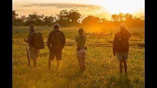 Okavango wandelsafari - Going Africa Safaris