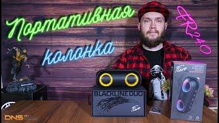 Влагозащищённая портативная колонка Fiero Blackline Duo FR240 с RGB-подсветкой 