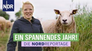 Störrische Schafe ein Schutzengel starke Frauen und Heike Marit immer mittendrin  Die Nordreporta