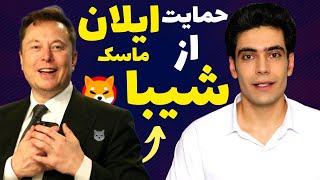 خیلی فوری  توجه ایلان ماسک به شیبا، از شایعه تا واقعیت  ایا شیبا یک سنتی نزدیک هست؟  ارزدیجیتال