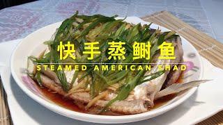 STEAMED AMERICAN SHAD   快手蒸鲥鱼 北美野生鲥鱼，这样蒸，鲜嫩香甜，唇齿留香，回味无穷！