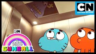 Dont Look Up Gumball and Darwin See Something Staring Back  Gumball  Cartoon Network