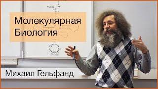 Коллоквиум Все что вы хотели знать про молекулярную биологию но не удосужились спросить