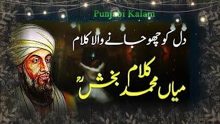 کلام میاں محمد بخش Kalam Main Muhammad Bakhsh Safraz