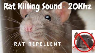 Anti Rat Repellent  Mouse Killer Sound  Very High Pitch Sound  20Khz  Kill Rats using mobile