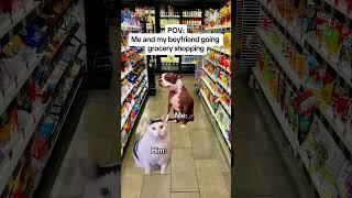 CAT MEMES Me and my boyfriend going grocery shopping #catmemes #relatable #relationship #shorts
