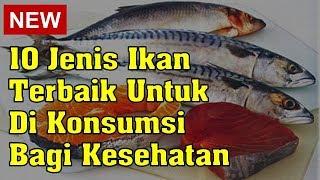 10 Jenis Ikan Terbaik Untuk Di Konsumsi Bagi Kesehatan