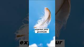 ANGEL MESSAGE FOR TODAY  WHITE FEATHERS