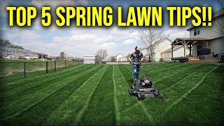 Top 5 Spring Lawn Tips 2024