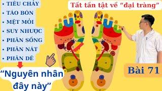 TẤT TẦN TẬT VỀ ĐẠI TRÀNG Nguy hiểm tiềm tàng xử lý triệt để  Ds Nguyễn Quốc Tuấn