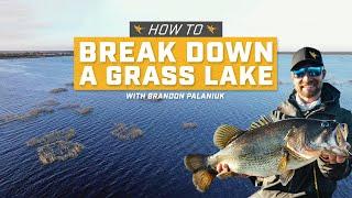 How to Break Down a Grass Lake Aerial Imagery Tips for Bass Fishing