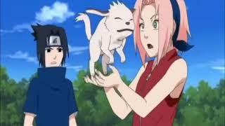 Sakura vs Kiba