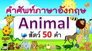 คำศัพท์ภาษาอังกฤษสัตว์ 50 ชนิด  Animals  Learn and song