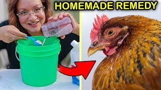 DIY Electrolytes for Sick Chickens Baby Chicks & Heat Waves EASY