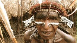 Meeting The Dani Tribe West Papua