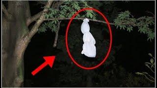 PRANK HANTU POCONG JATUH DARI POHON  PRANK GHOST 