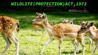 #Wildlife protection act1972 #briefupsc