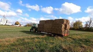 Grain Corn & Fodder Harvest