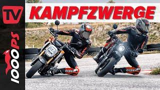 Pitbikes mit Straßenzulassung Honda MSX 125 Grom vs. Brixton Crossfire 125 XS - Kampfzwerge Duell